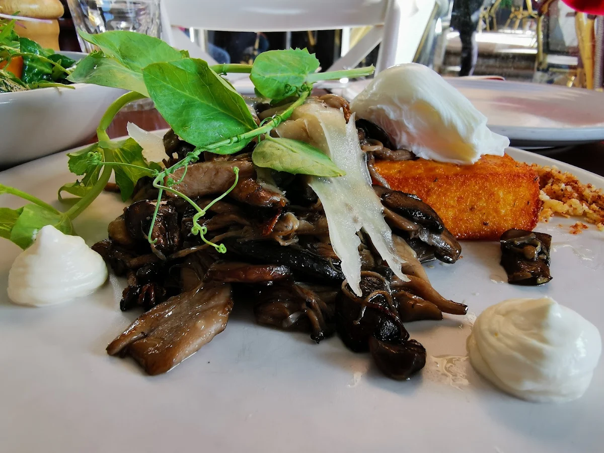 蘑菇, Town & Country Home Garden Cafe